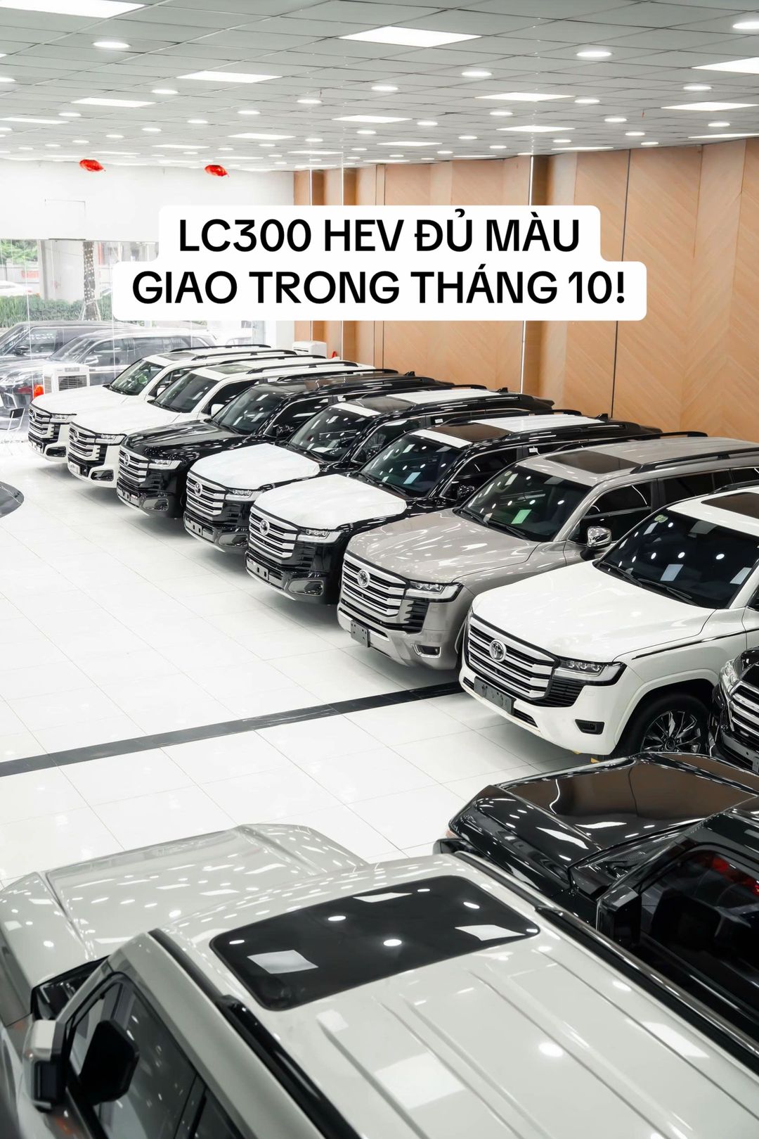 Car360 cover