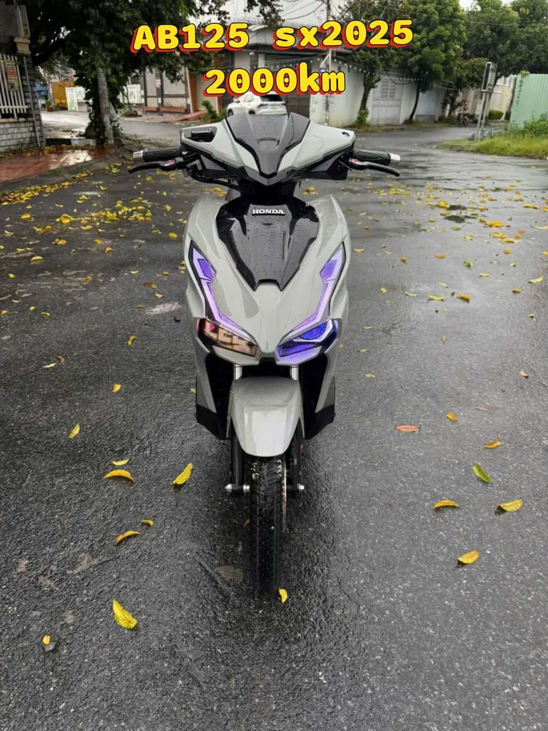 Car360 cover