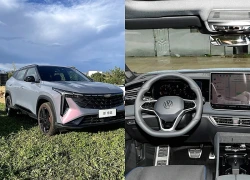 Car360 cover
