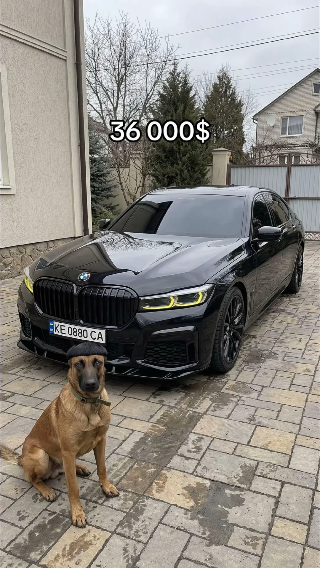 Car360 cover