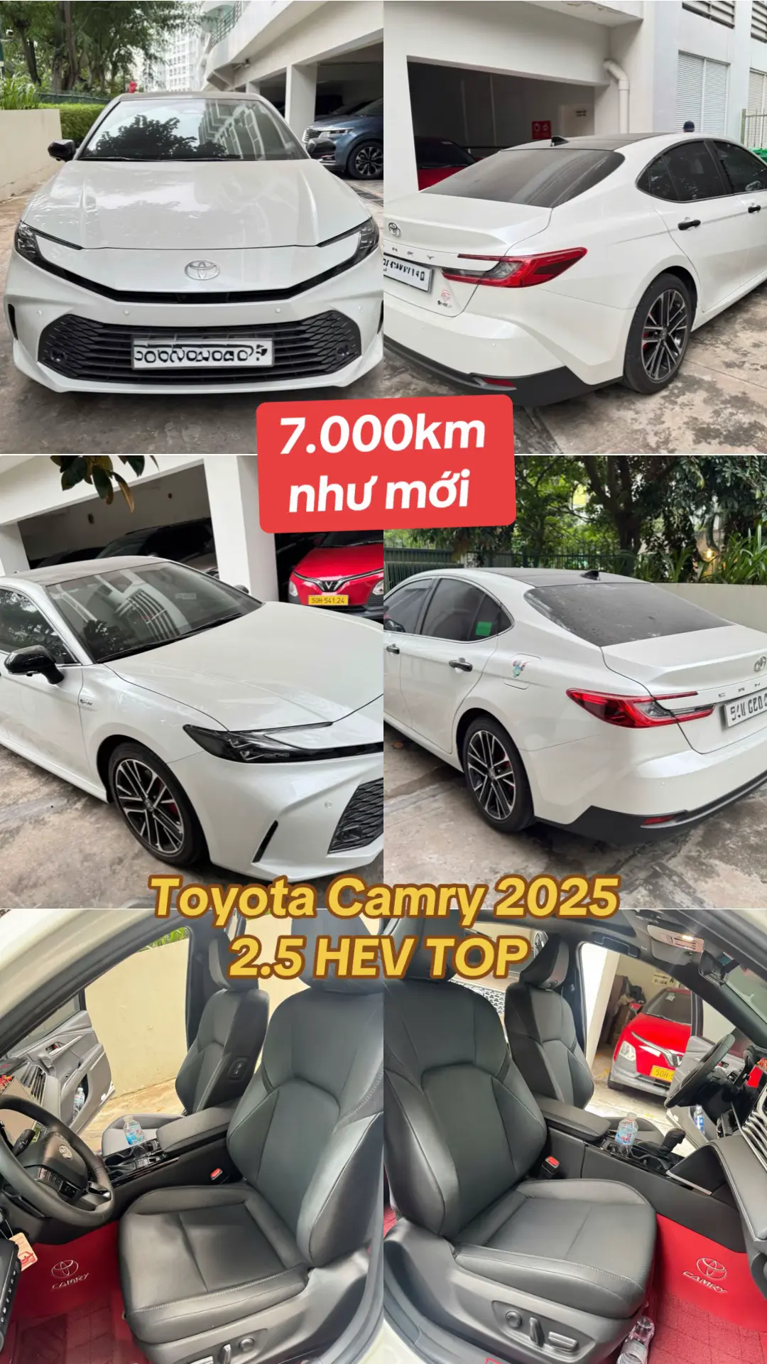 Car360 cover