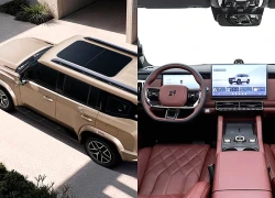 Car360 cover