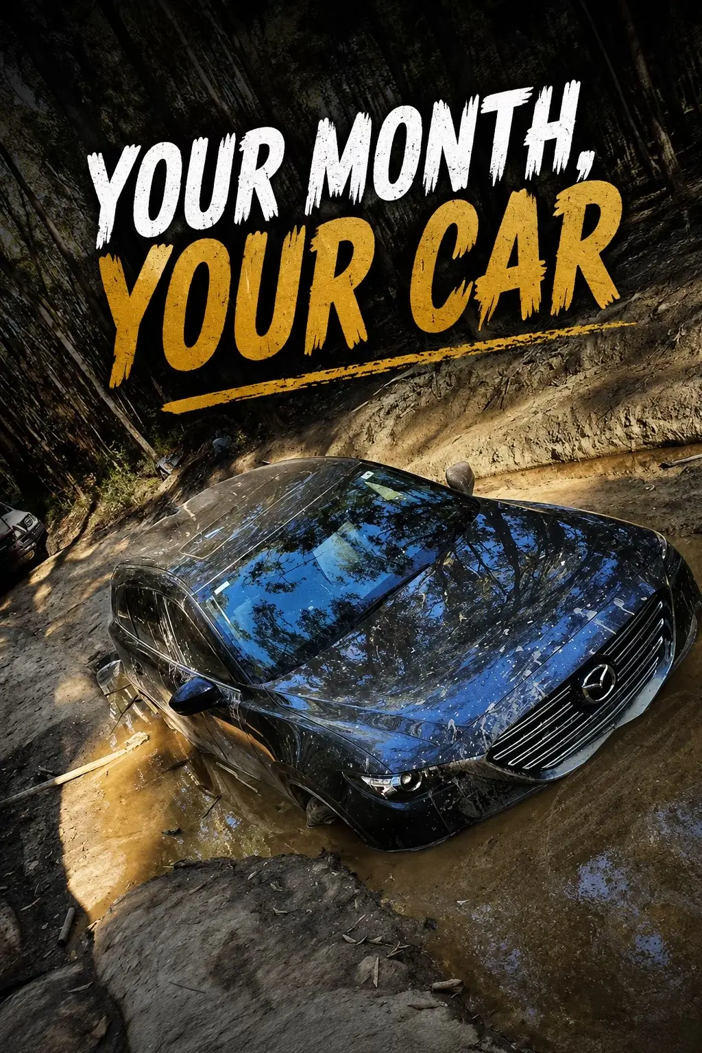 Car360 cover