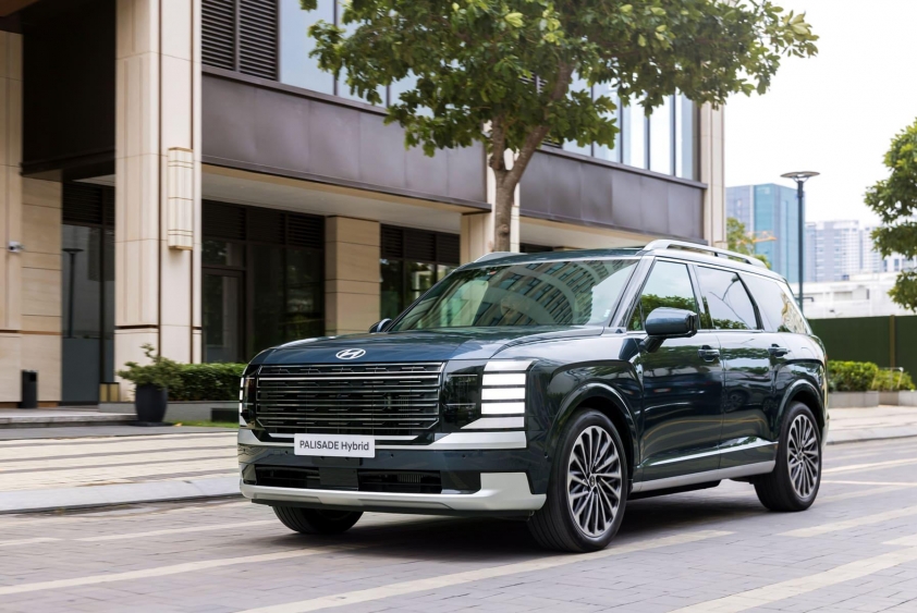 Palisade Hybrid_7 (1)