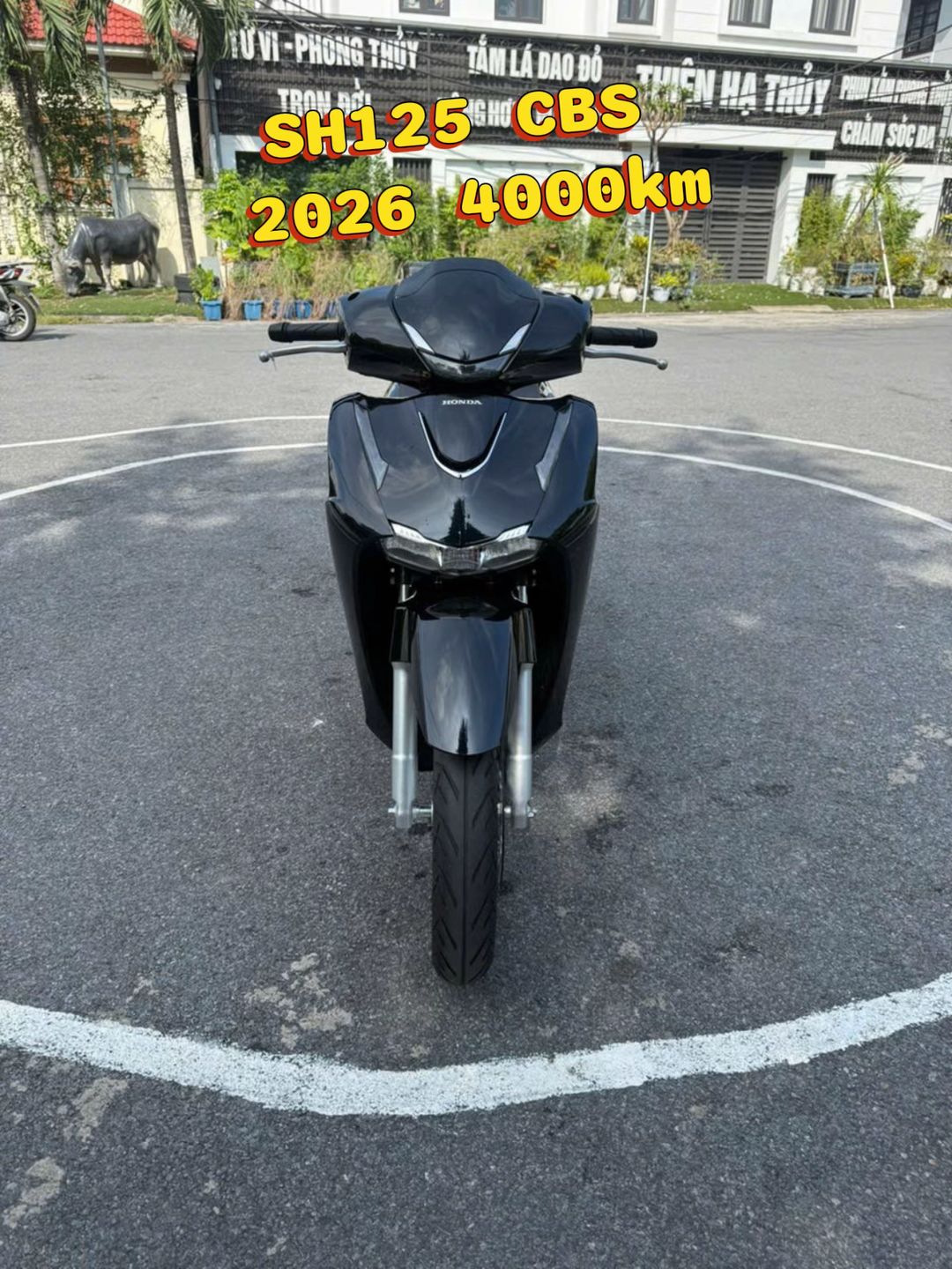 Car360 cover