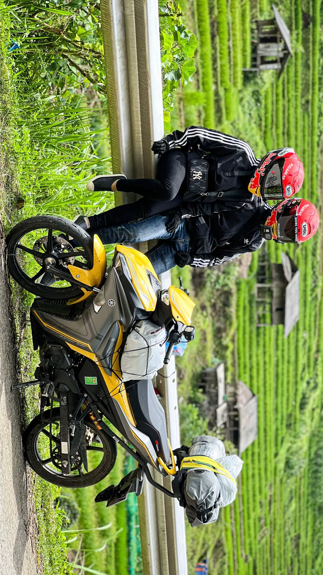 Car360 cover
