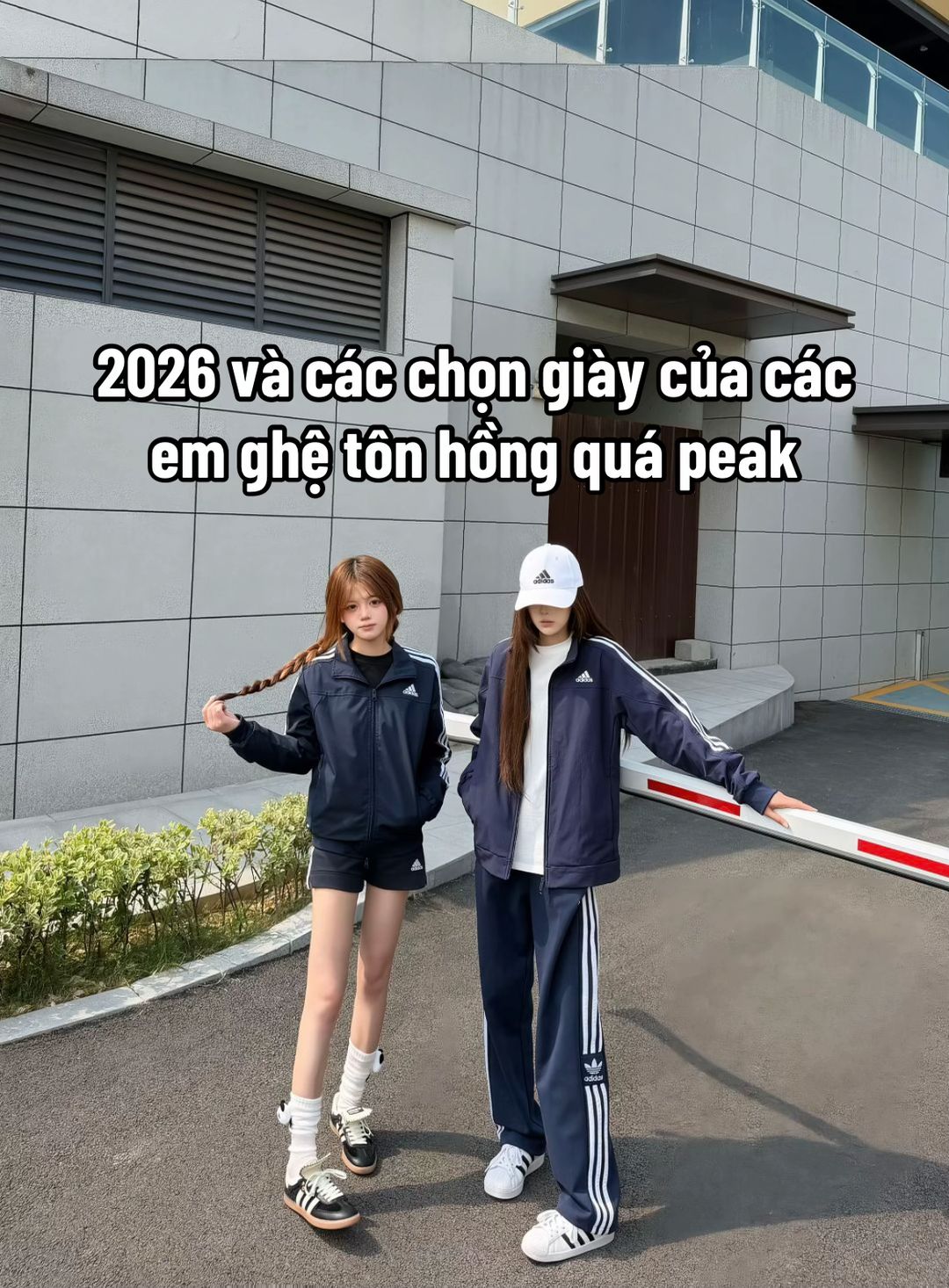 Car360 cover