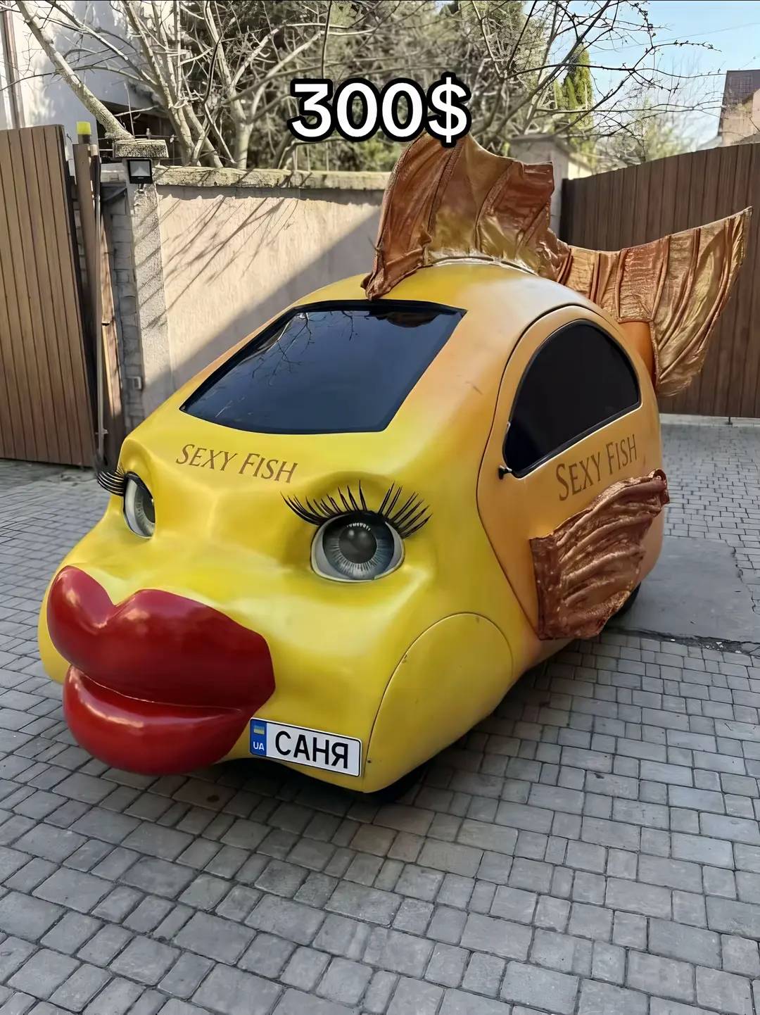 Car360 cover