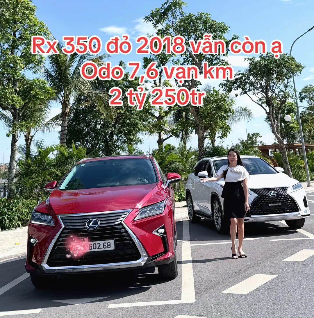 Car360 cover