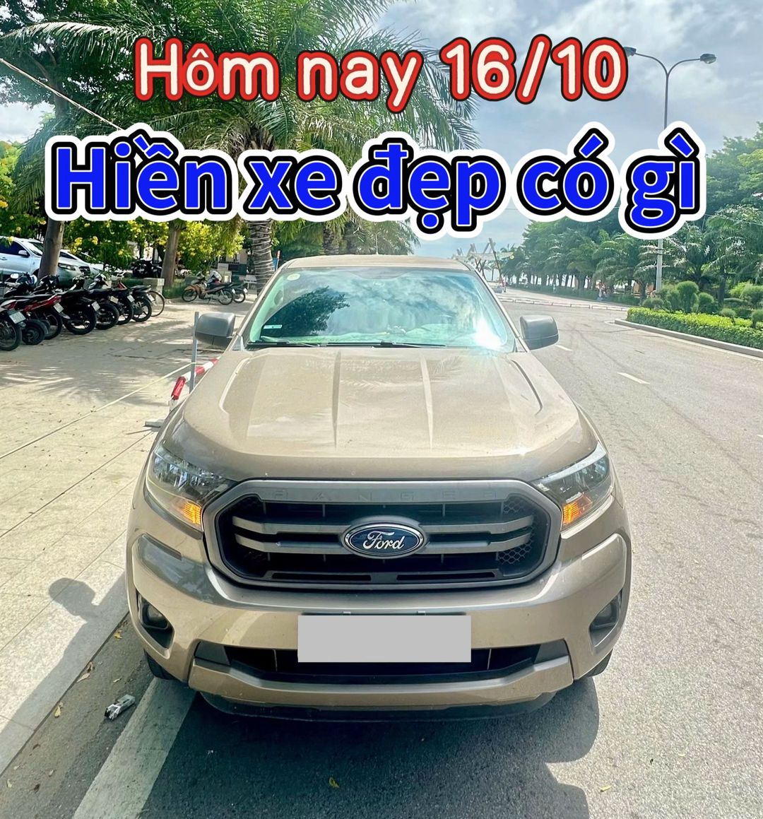 Car360 cover