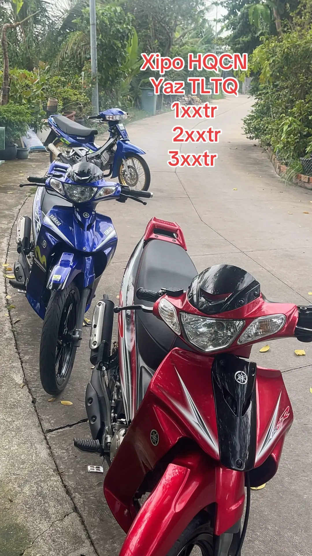 Car360 cover