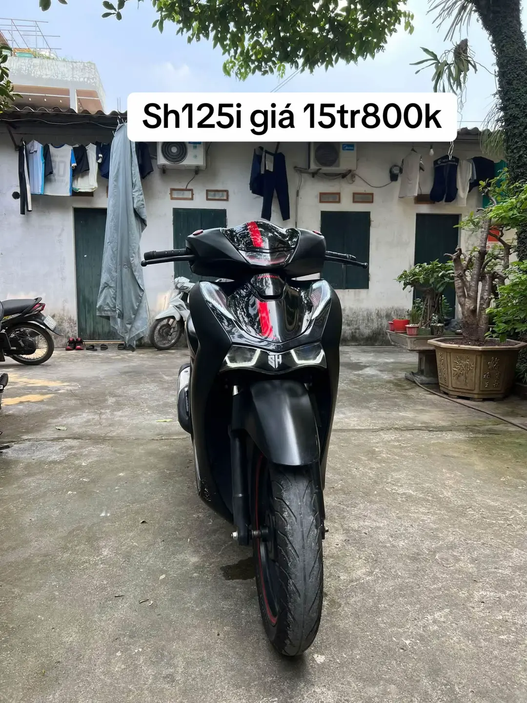Car360 cover