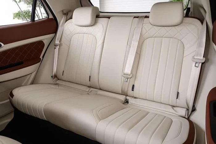 Xe điện đô thị thiết kế đẹp, phạm vi hoạt động 430 km, giá từ 270 triệu đồng - Hình 7