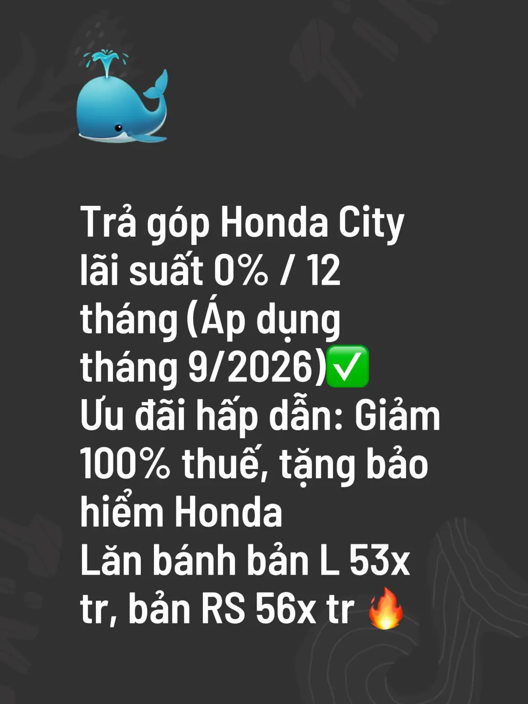 Car360 cover