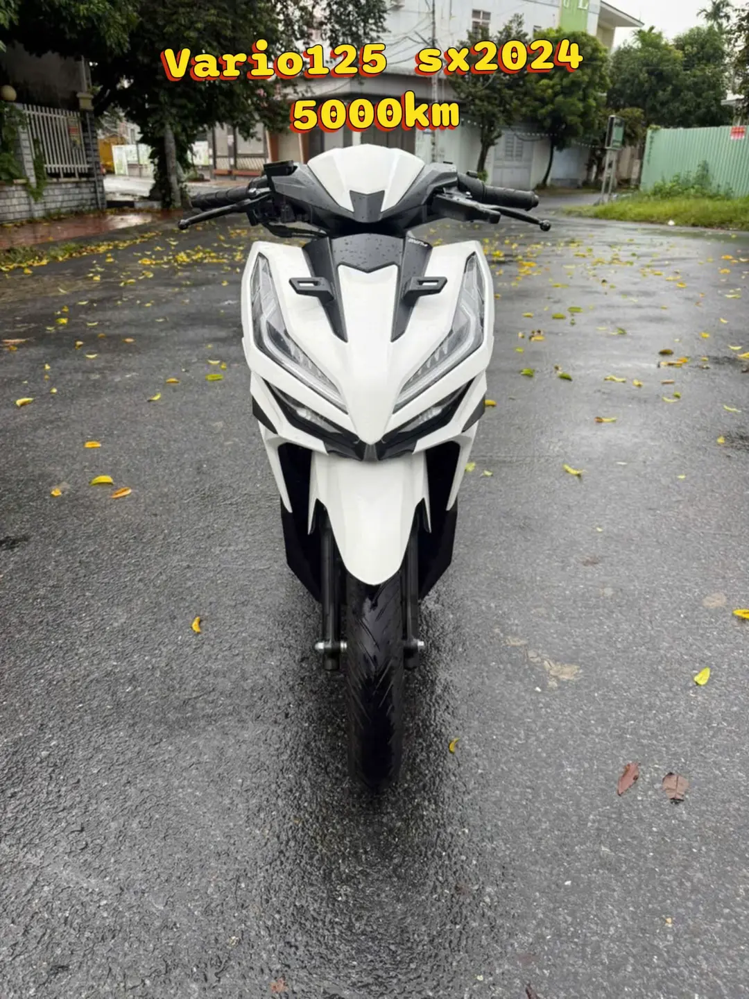 Car360 cover
