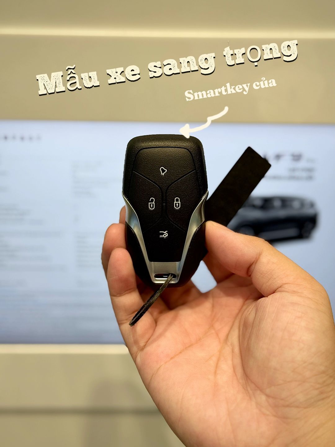 Car360 cover