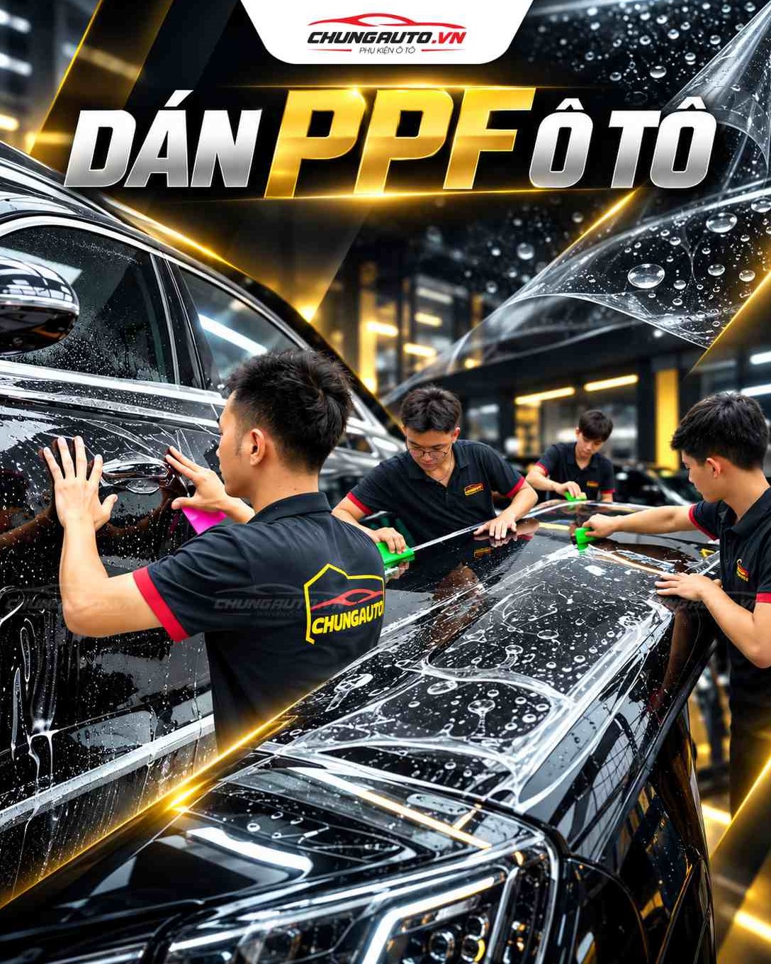 dan-ppf-o-to