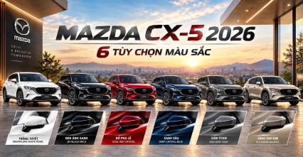 Car360 cover