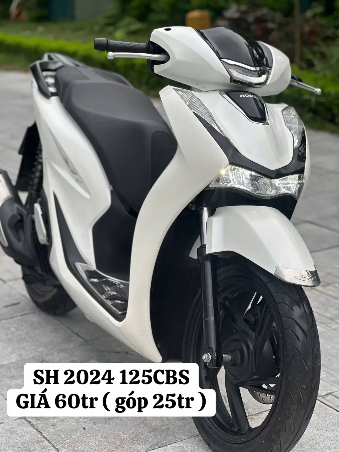 Car360 cover