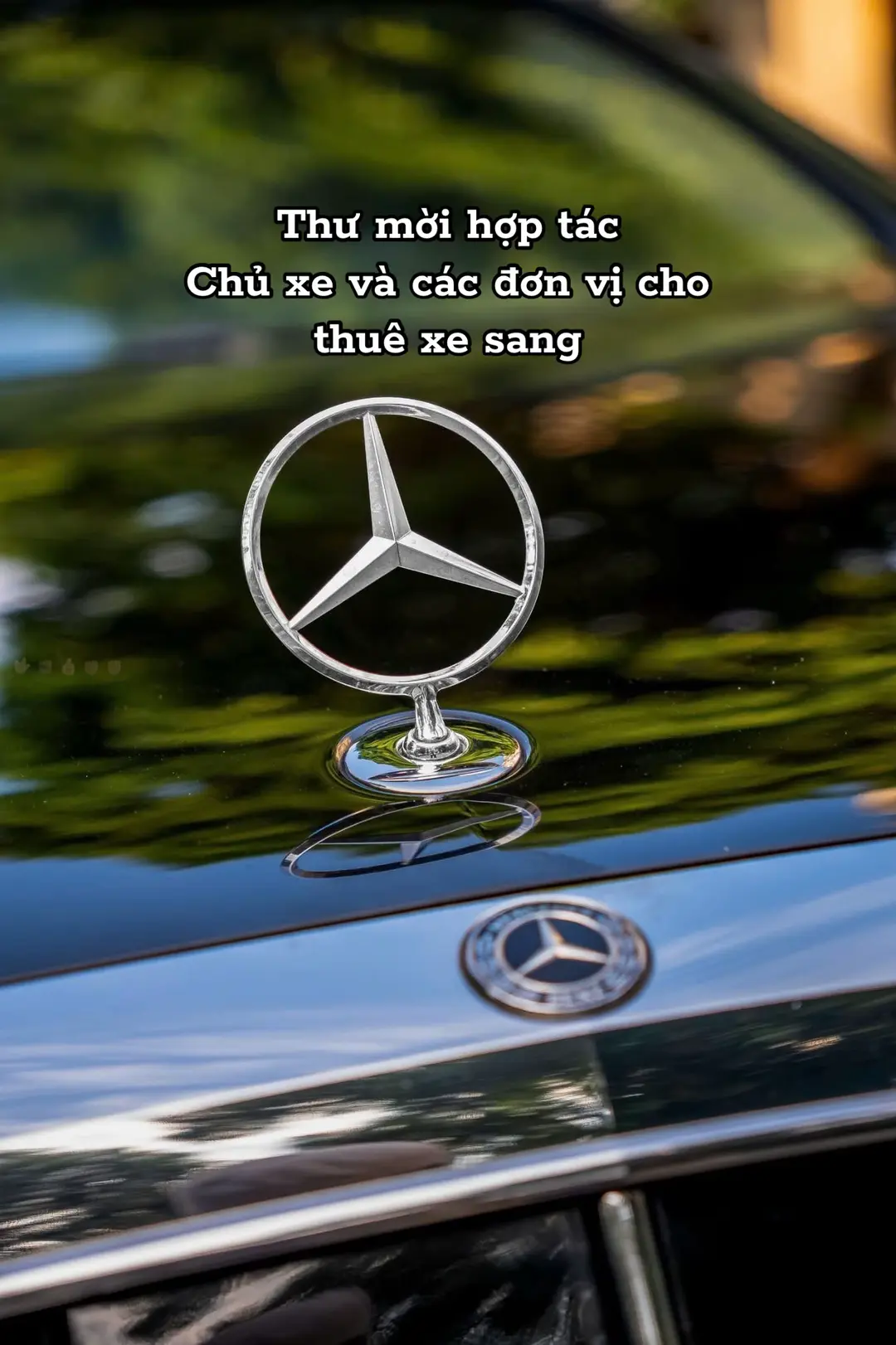 Car360 cover